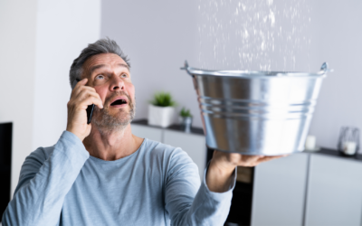 Your Roof Has a Leak. Now What?