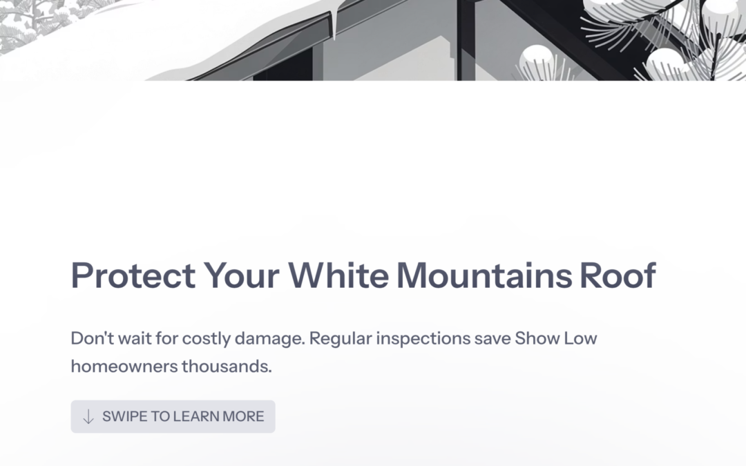 Roof Inspections and Maintenance in Show Low